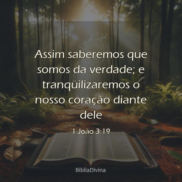 1 João 3:19