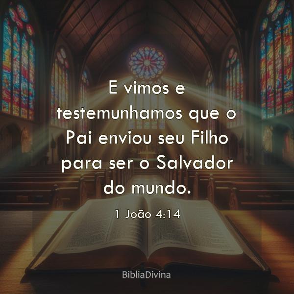 1 João 4:14