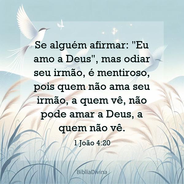 1 João 4:20