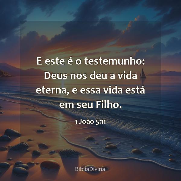 1 João 5:11