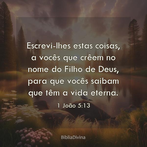 1 João 5:13