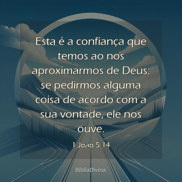 1 João 5:14