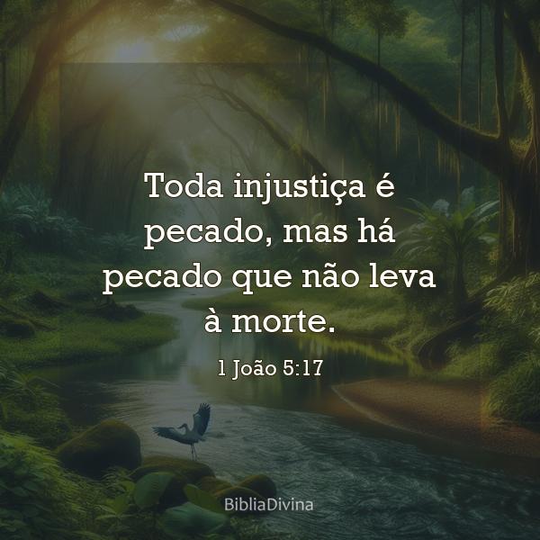 1 João 5:17