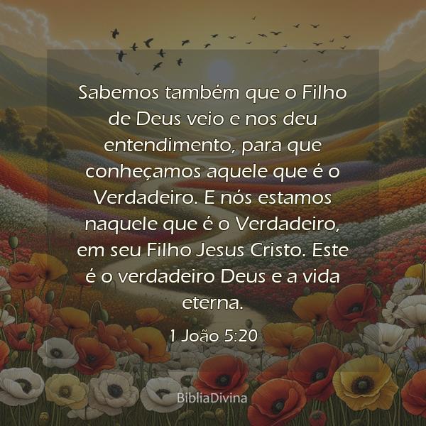 1 João 5:20