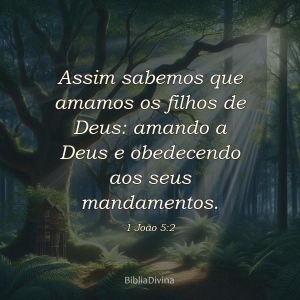 1 João 5:2