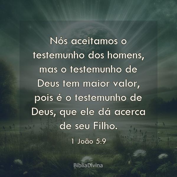 1 João 5:9