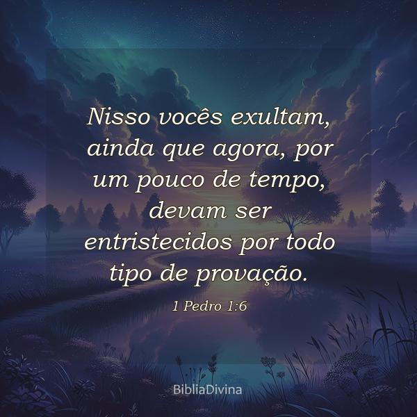 1 Pedro 1:6