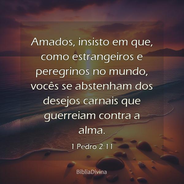 1 Pedro 2:11