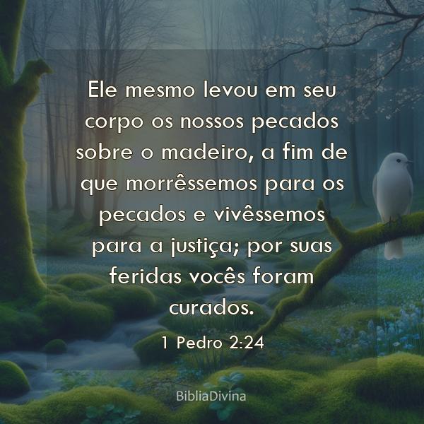 1 Pedro 2:24