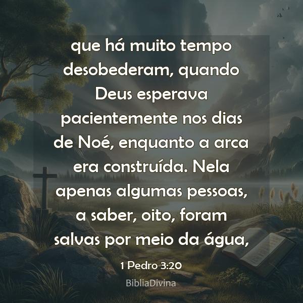 1 Pedro 3:20