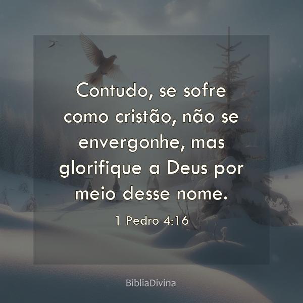 1 Pedro 4:16