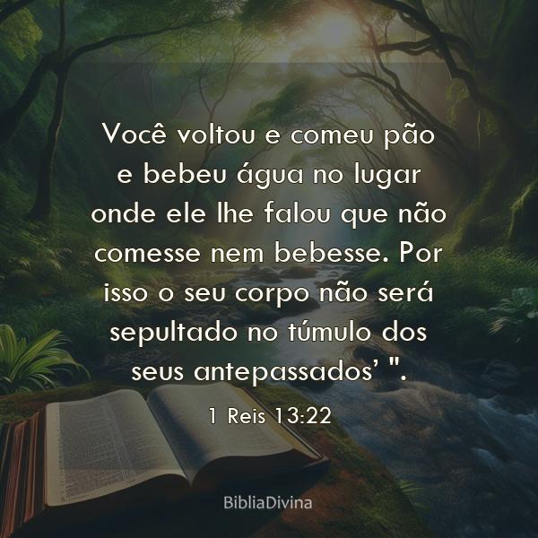 1 Reis 13:22