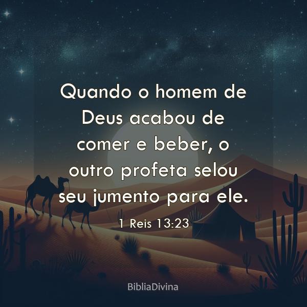 1 Reis 13:23