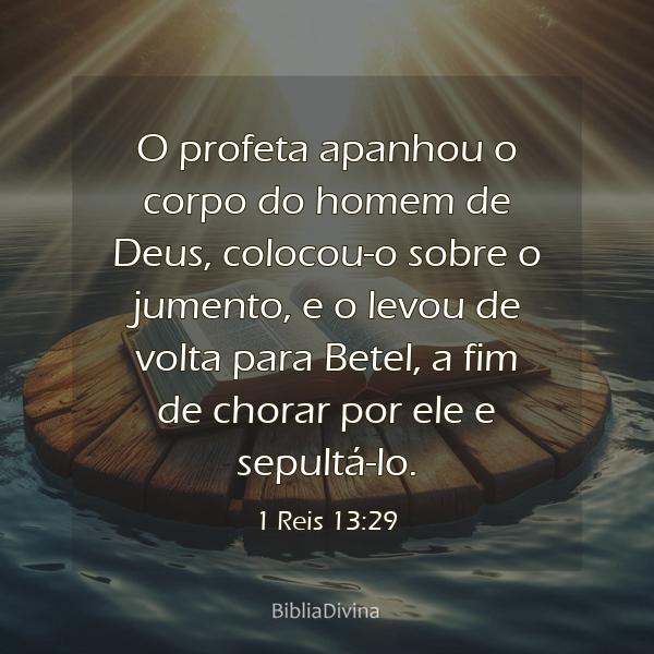 1 Reis 13:29