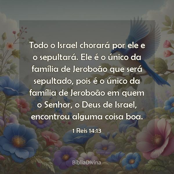 1 Reis 14:13