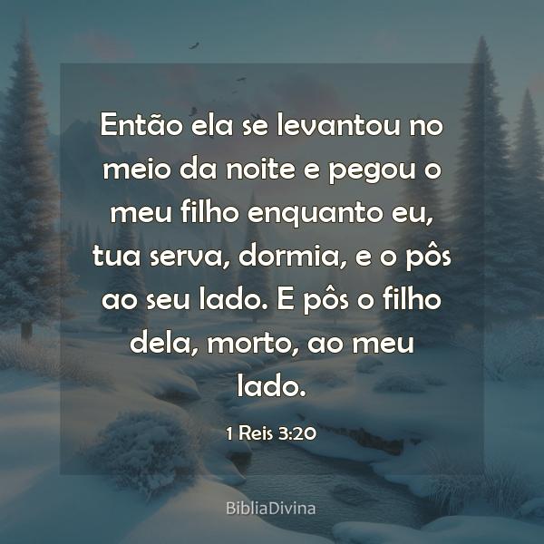 1 Reis 3:20