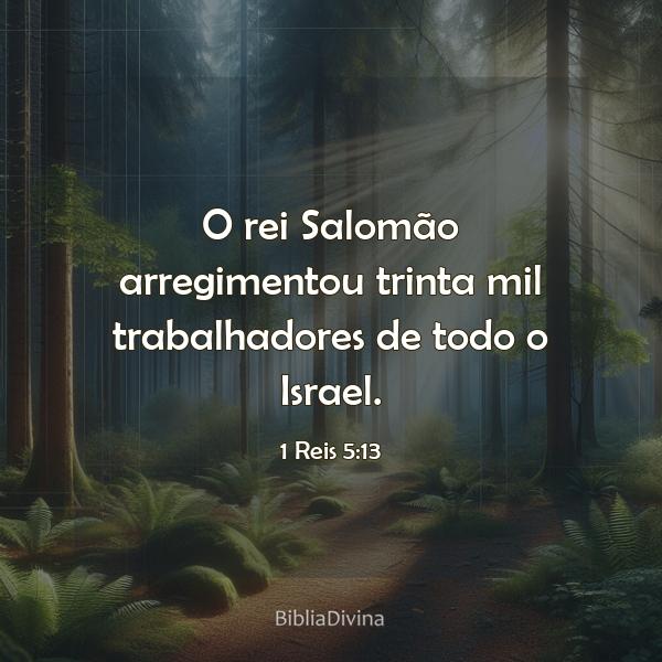 1 Reis 5:13