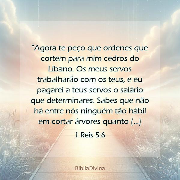 1 Reis 5:6