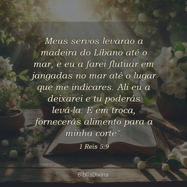 1 Reis 5:9