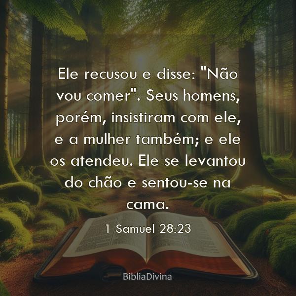 1 Samuel 28:23