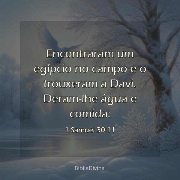 1 Samuel 30:11