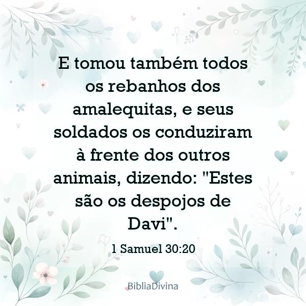 1 Samuel 30:20