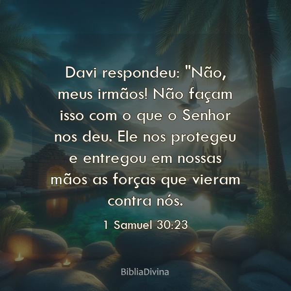 1 Samuel 30:23