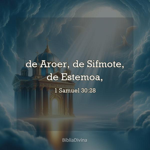 1 Samuel 30:28