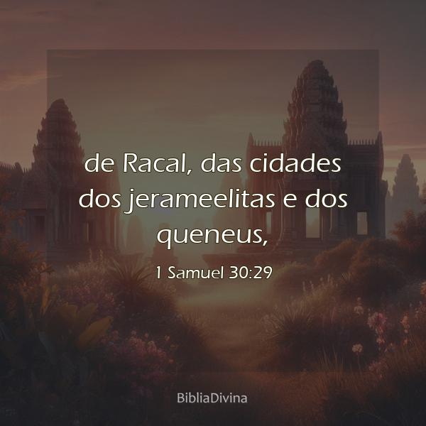 1 Samuel 30:29