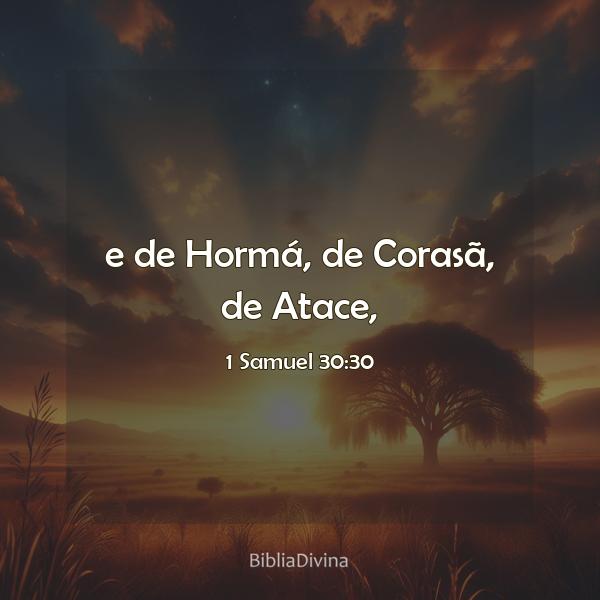 1 Samuel 30:30