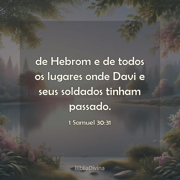 1 Samuel 30:31