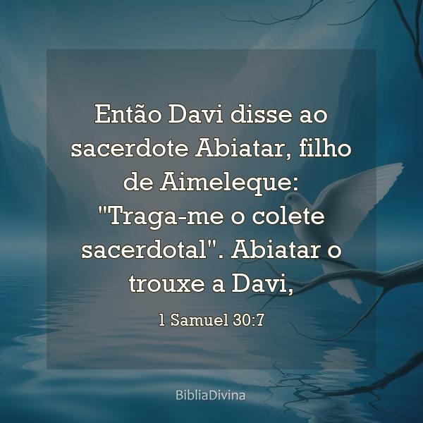 1 Samuel 30:7