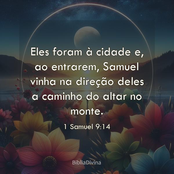 1 Samuel 9:14