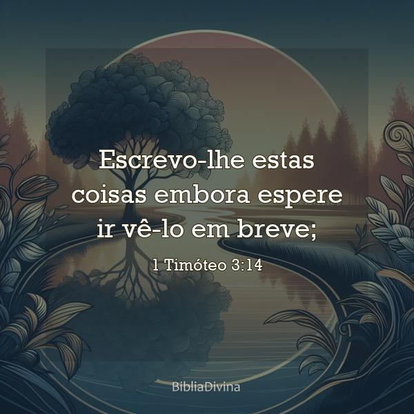 1 Timóteo 3:14