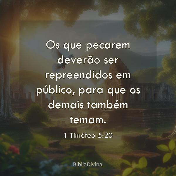 1 Timóteo 5:20