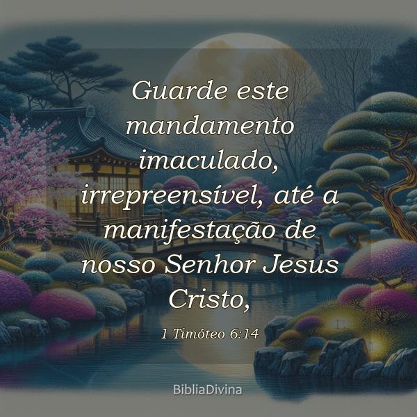 1 Timóteo 6:14