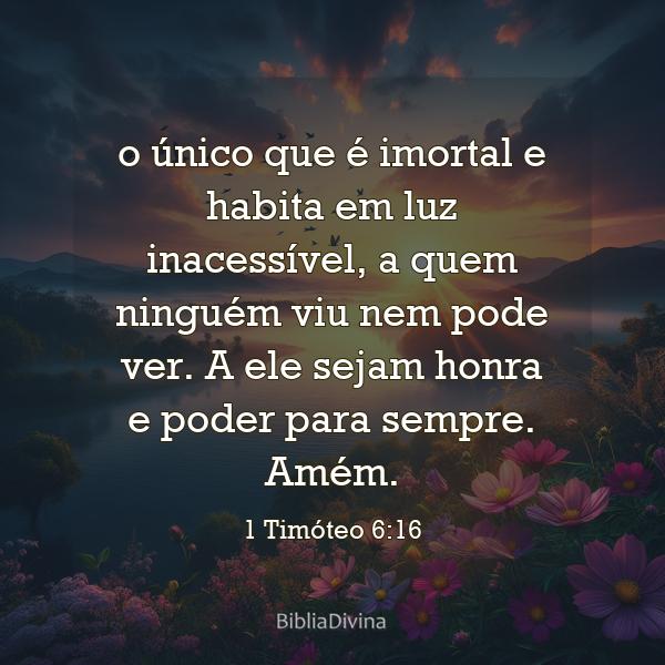 1 Timóteo 6:16