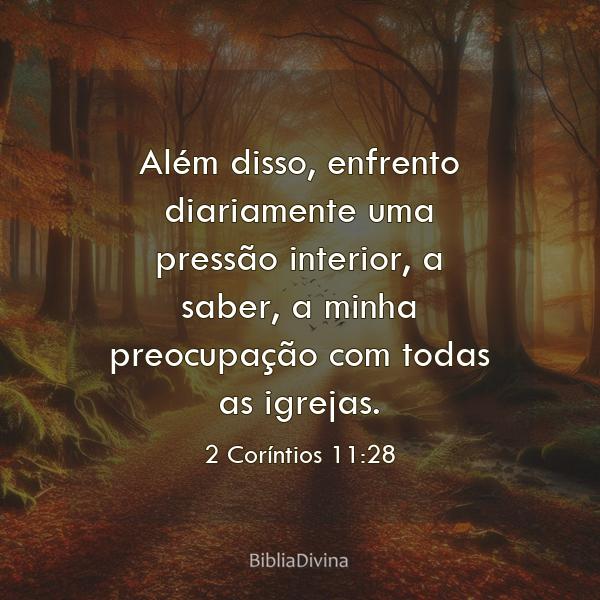 2 Coríntios 11:28