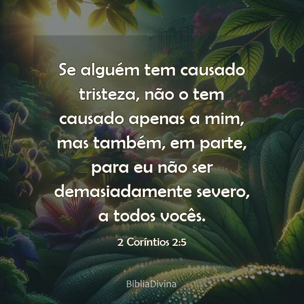 2 Coríntios 2:5