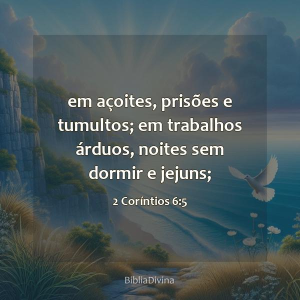 2 Coríntios 6:5