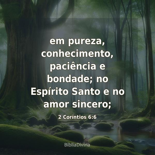 2 Coríntios 6:6