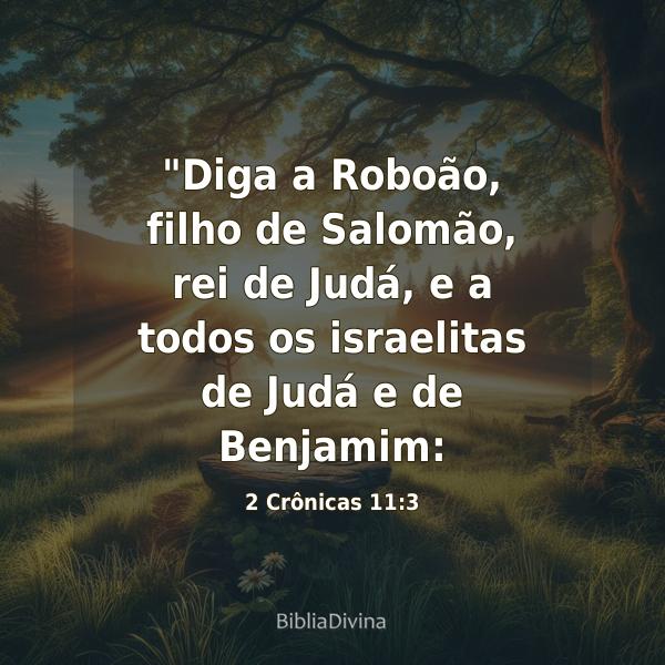 2 Crônicas 11:3