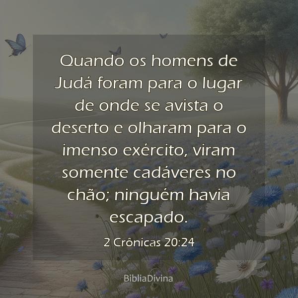 2 Crônicas 20:24