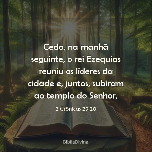 2 Crônicas 29:20