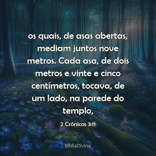 2 Crônicas 3:11