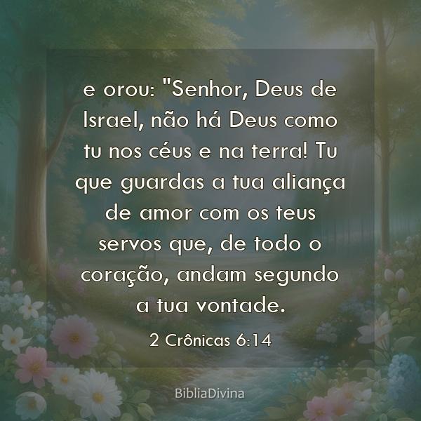 2 Crônicas 6:14