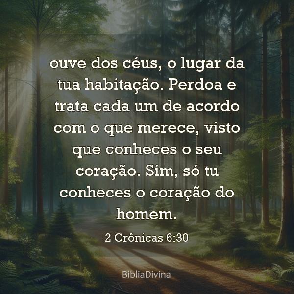 2 Crônicas 6:30