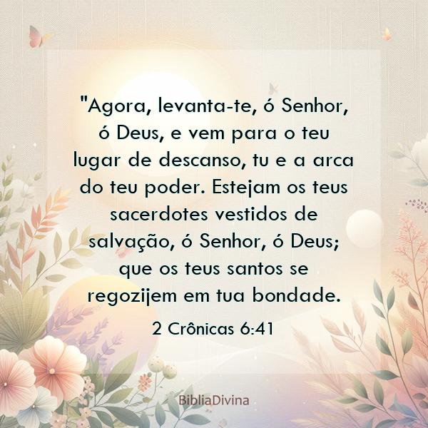 2 Crônicas 6:41