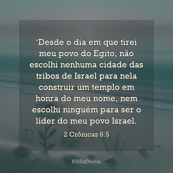 2 Crônicas 6:5