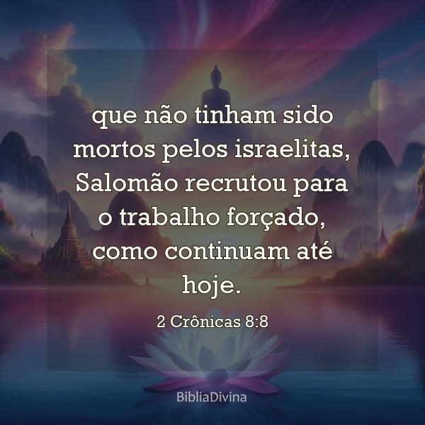 2 Crônicas 8:8